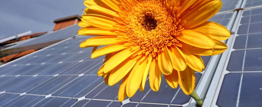 Il (fotovoltaico) a casa: energia rinnovabile alla portata di tutti