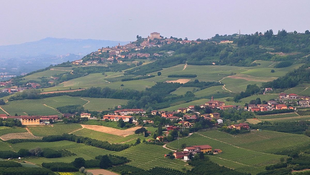 immobiliare langhe e roero